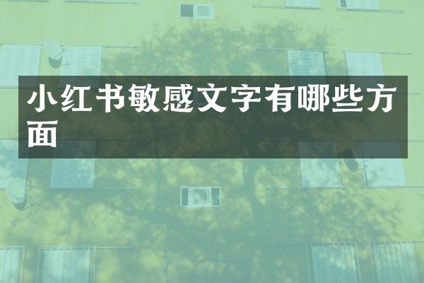小红书敏感文字有哪些方面