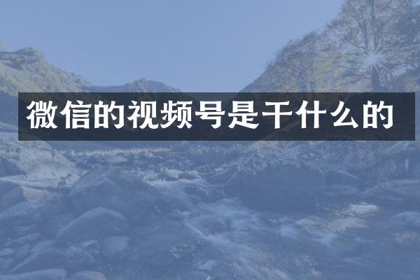 微信的视频号是干什么的