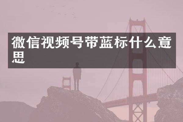 微信视频号带蓝标什么意思