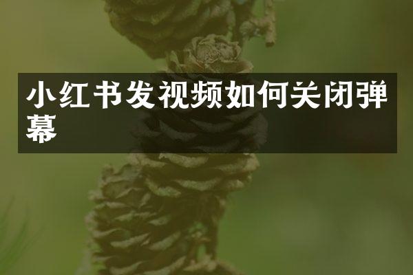 小红书发视频如何关闭弹幕