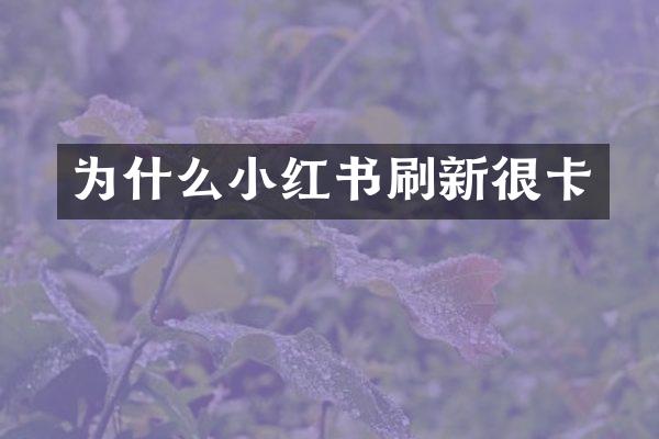 为什么小红书刷新很卡