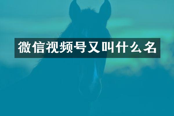 微信视频号又叫什么名