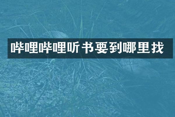 哔哩哔哩听书要到哪里找