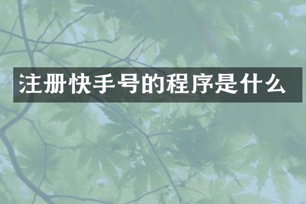 注册快手号的程序是什么