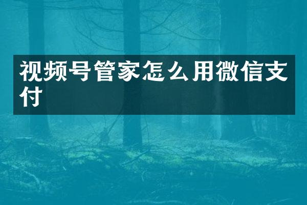 视频号管家怎么用微信支付