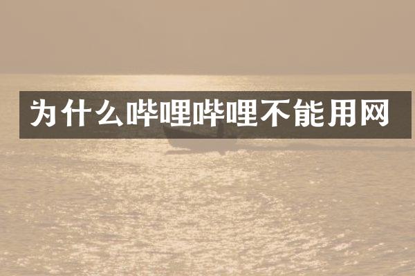 为什么哔哩哔哩不能用网