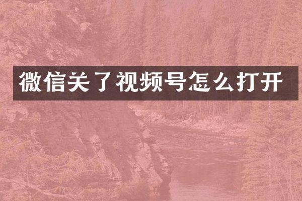 微信关了视频号怎么打开