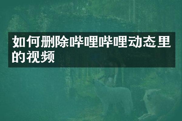 如何删除哔哩哔哩动态里的视频