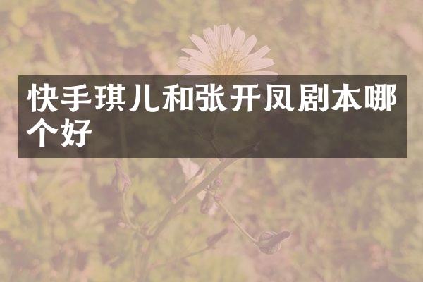快手琪儿和张开凤剧本哪个好