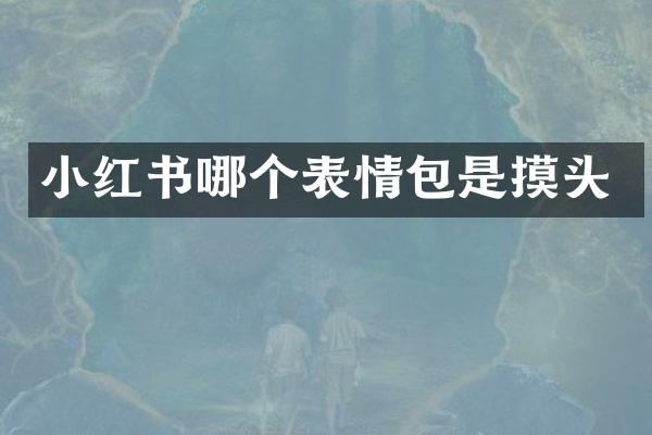 小红书哪个表情包是摸头