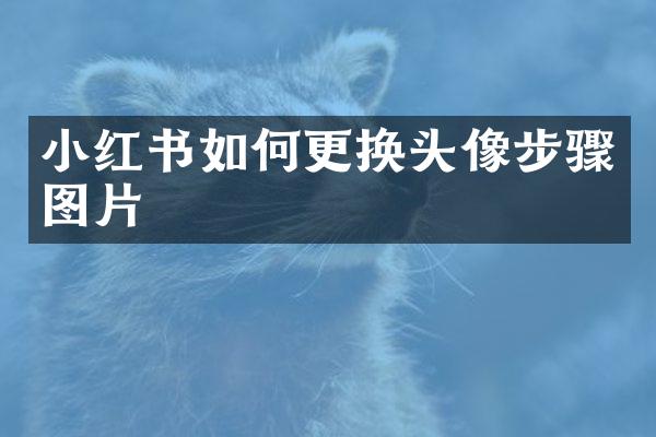 小红书如何更换头像步骤图片