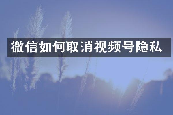 微信如何取消视频号隐私