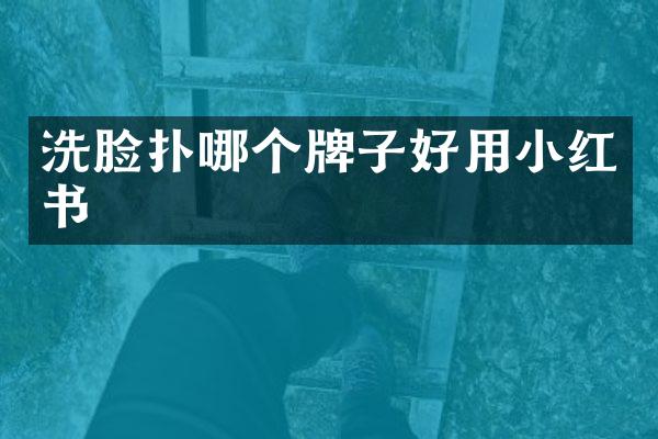 洗脸扑哪个牌子好用小红书