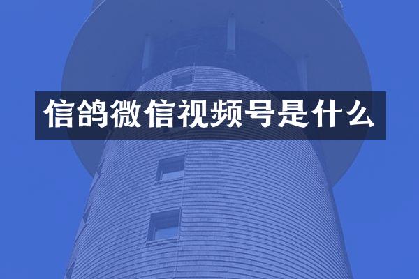 信鸽微信视频号是什么