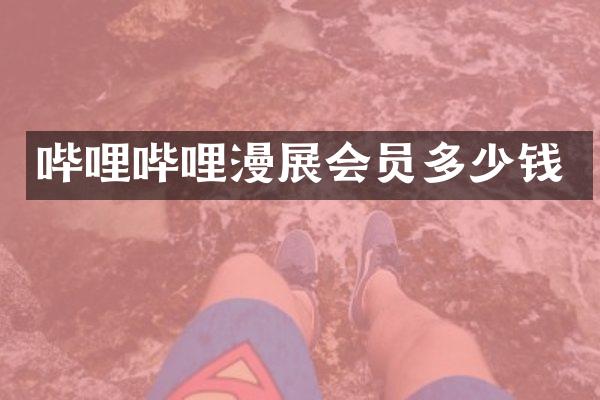 哔哩哔哩漫展会员多少钱