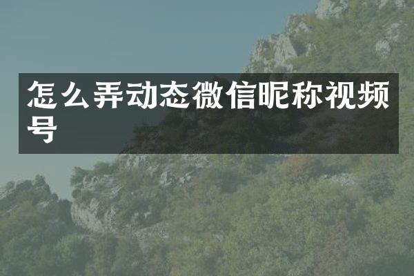 怎么弄动态微信昵称视频号