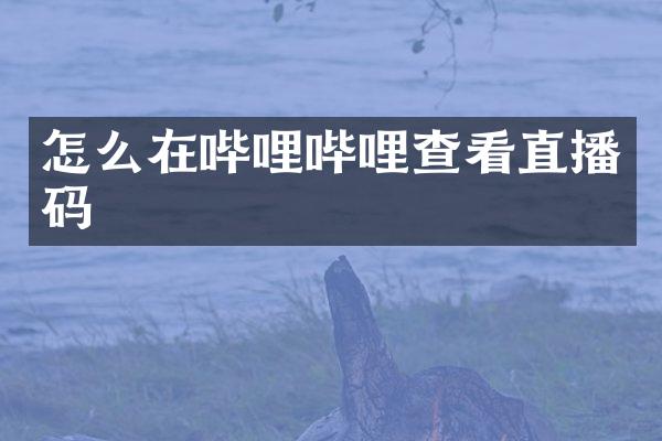 怎么在哔哩哔哩查看直播码