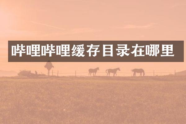 哔哩哔哩缓存目录在哪里