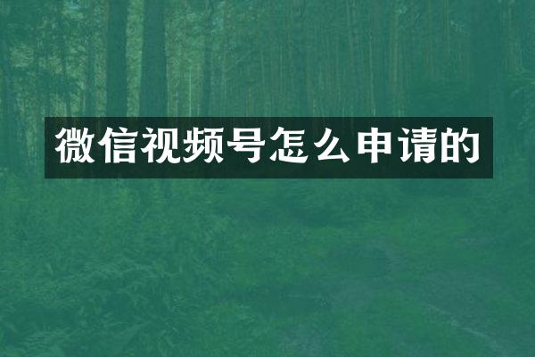 微信视频号怎么申请的