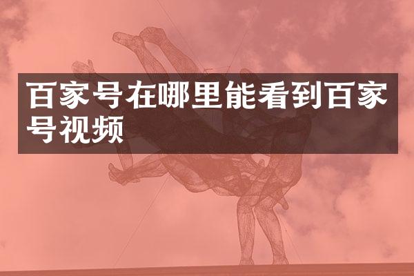 百家号在哪里能看到百家号视频