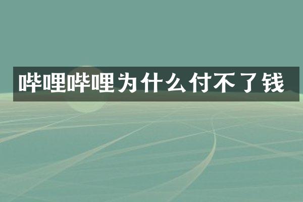 哔哩哔哩为什么付不了钱
