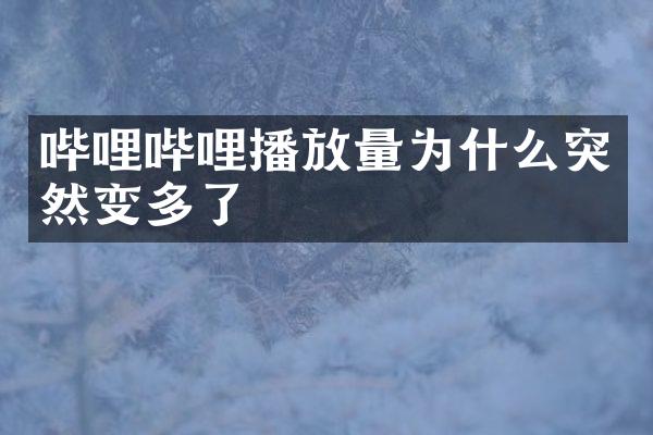 哔哩哔哩播放量为什么突然变多了