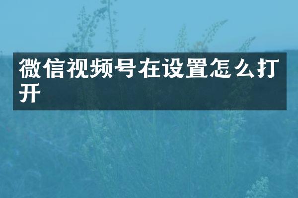 微信视频号在设置怎么打开