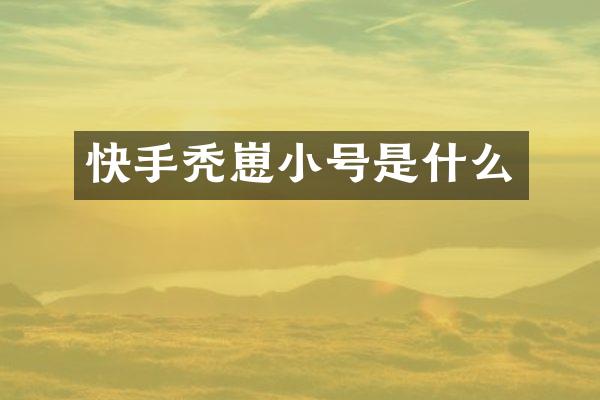 快手秃崽小号是什么