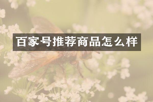 百家号推荐商品怎么样