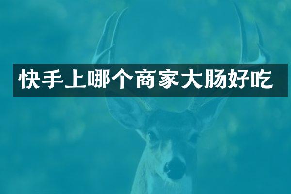 快手上哪个商家大肠好吃