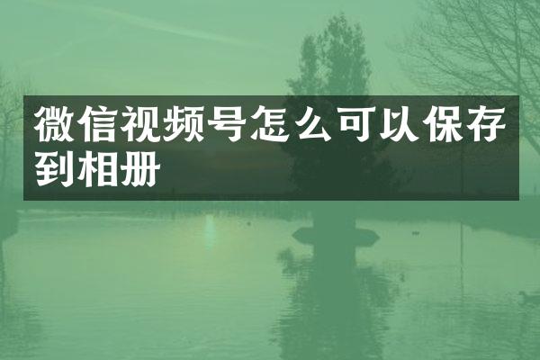 微信视频号怎么可以保存到相册
