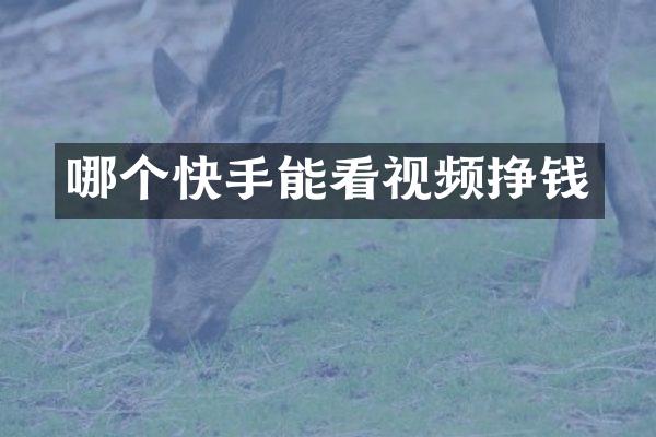 哪个快手能看视频挣钱