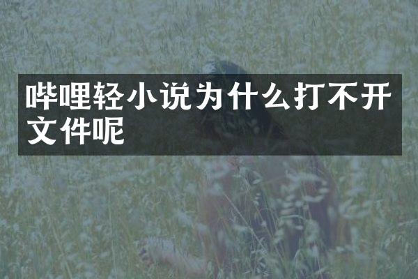 哔哩轻小说为什么打不开文件呢
