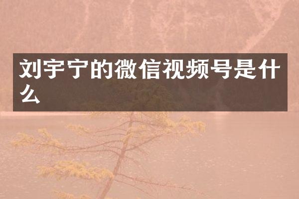 刘宇宁的微信视频号是什么