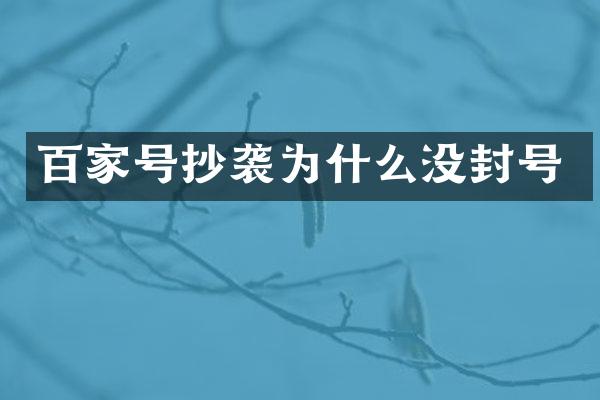 百家号抄袭为什么没封号