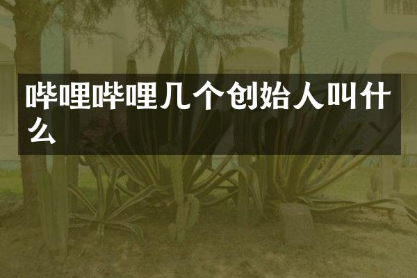 哔哩哔哩几个创始人叫什么