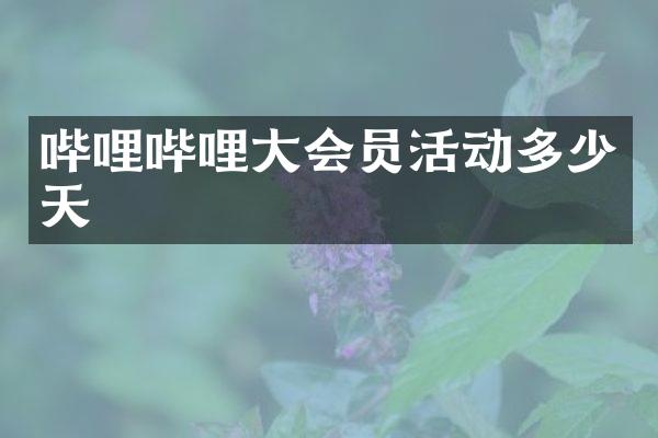 哔哩哔哩大会员活动多少天