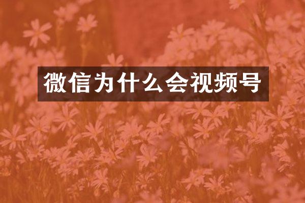 微信为什么会视频号