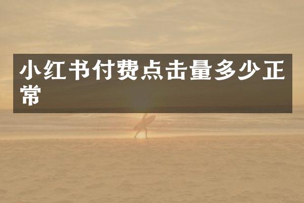 小红书付费点击量多少正常