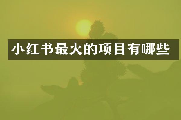 小红书最火的项目有哪些