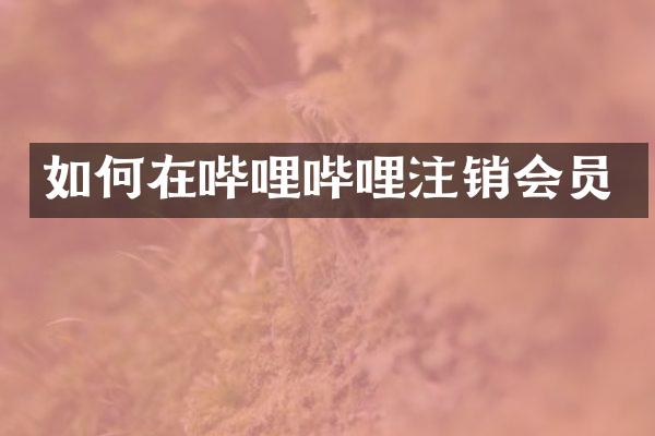 如何在哔哩哔哩注销会员