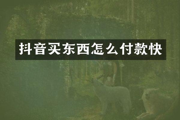 抖音买东西怎么付款快