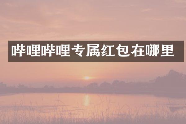 哔哩哔哩专属红包在哪里