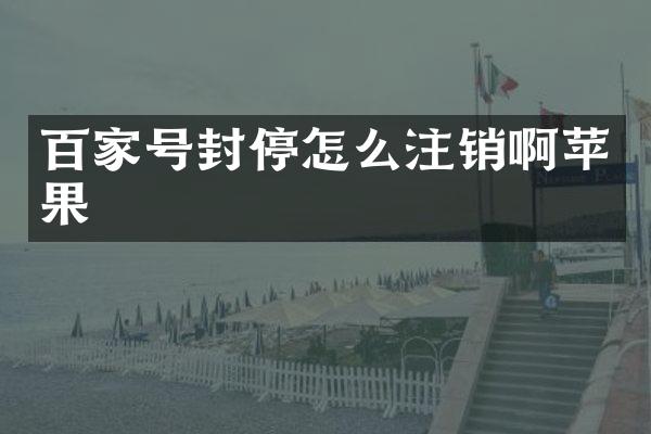 百家号封停怎么注销啊苹果