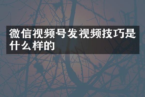 微信视频号发视频技巧是什么样的