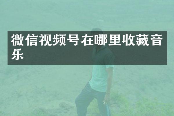 微信视频号在哪里收藏音乐