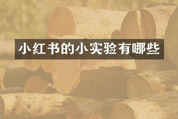 小红书的小实验有哪些