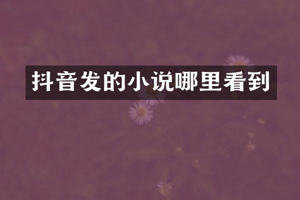抖音发的小说哪里看到