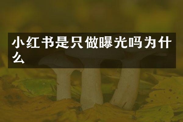 小红书是只做曝光吗为什么