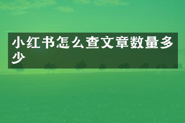 小红书怎么查文章数量多少